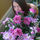 [w],Anqiee ,25,_angie