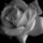 [w],BöhseMädchen,33,bad_angels
