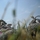 [w],boomboom95,29,sunny_1995
