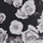 [w],brillantediamond,26,timehealsallwounds
