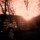 [w],BulletInMyHeart,34,bullet_in_my_heart