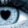 [w],dienchen,33,dienchen