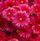 [w],Dingsbums.:*,27,Beste-