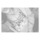 [w],Einstein,124,Ente_x