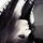 [w],Emilia,29,Emylifeless