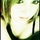 [w],EmilyGoToTheJungle,29,Emily_Tony