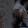 [w],Erdbeermuffin LuLu,25,LuLu-Erdbbermuffin
