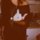 [w],Faye,28,faye_