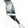 [w],flyless bird,28,flylessbird