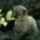 [w],Franki,30,frankis_page