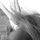 [w],giannaa,27,wonderthings