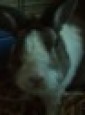 Default