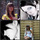 [w],Hanami,32,cherry_blossom