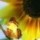 [w],hepp_1981@hotmail.com,43,evelyne