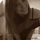 [w],hopefull. ♥,27,Lisaa_W