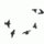 [w],impossible-,26,impossible-