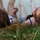 [w],JackyAnina,27,Jacky_Reneesme
