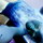 [w],Jenny.Dinoo,26,Jenny_Dino