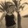 [w],jessica Potthoff,31,potty
