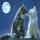 [w],Jil_x3,27,NJN