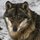 [w],KanonDalia,28,legends_of_time
