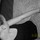 [w],Lara_1,28,Laraa_1