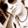[w],larve :p,31,_unendlich_