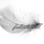 [w],lightasafeather,31,katiesview