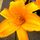 [w],LittleLisa ♥,30,_Liisa_