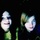 [w],Louisaaaaaa,28,Louisa_mit_a
