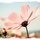 [w],mary_maus,29,mary_maus
