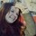 [w],Meerespriese,27,meer