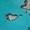 Micro