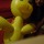 [w],Michi (Y) .,26,Mishi