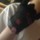[m],mr_icebreaker,33,kaxxe
