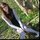 [w],natih klain,30,natih_klain