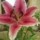 [w],Nessi,31,nessi_friends