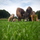 [w],Ponyreiten,15,Ponywelt-Hegne