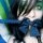[w],Punkbitch15,33,punkis