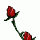 [w],sandiii_1993,31,sandiii_1993