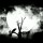 [w],sanyyy,31,sany23_12_1993