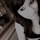 [w],Sara.<3,29,Sarax3