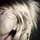 [w],Selinchen1998,26,selinchen1998