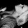 [w],seli_w,28,SelinaWeiland