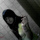 [w],sophie.whitesnake,27,sophie_whitesnake
