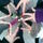 [w],Sophiie..♥,28,fidi_