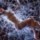[w],Vamp_kissing_A,35,vamp_kissing_a