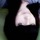 [w],Vane.Crudelis,30,WATERMEL0N