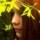 [w],whakura,29,whakura
