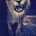 [w],whatever<3,28,-whatever-
